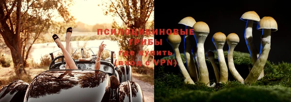 не бодяженный Армянск