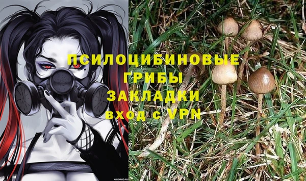 не бодяженный Армянск