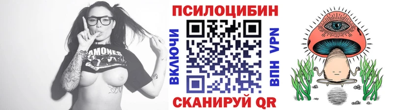 дарнет шоп Ленинск Псилоцибиновые грибы мухоморы